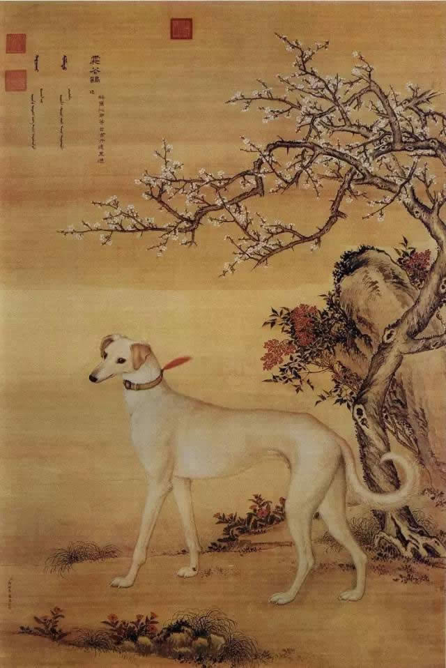 郎世宁《十骏犬之霜花鹞图》