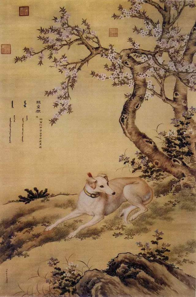 郎世宁《十骏犬之睒星狼图》