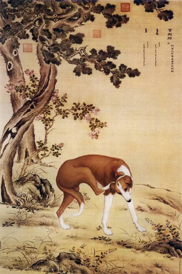 郎世宁《十骏犬之金翅猃图》