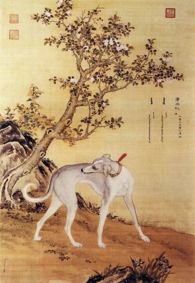 郎世宁《十骏犬之苍水虬图》