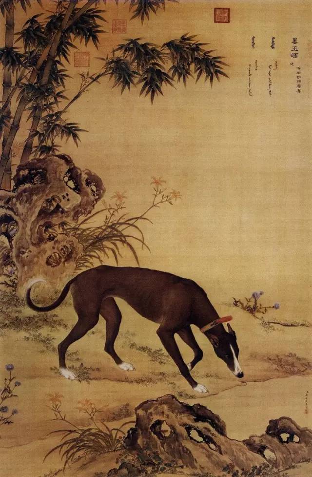 郎世宁《十骏犬之墨玉螭图》