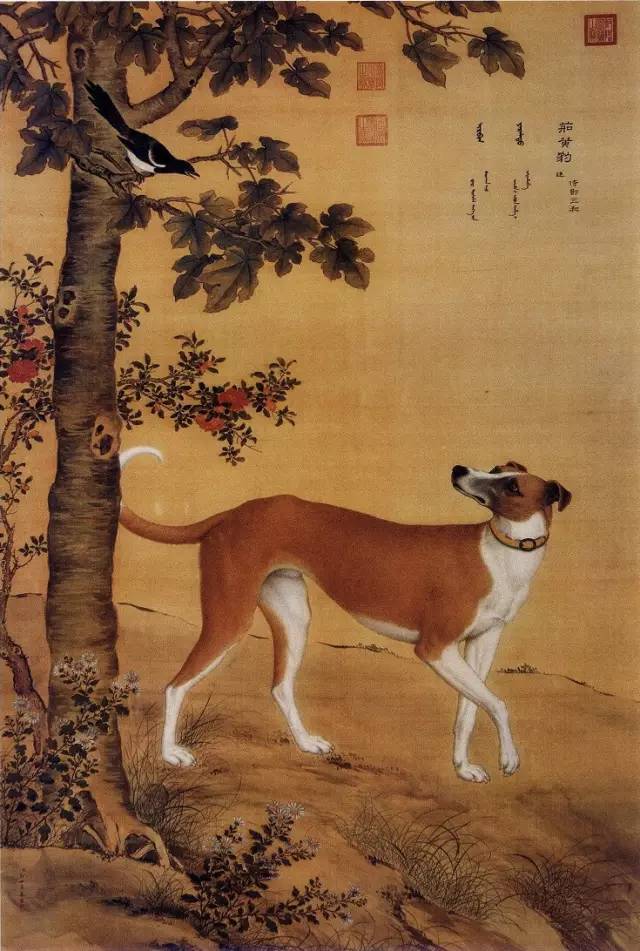 郎世宁《十骏犬之茹黄豹图》