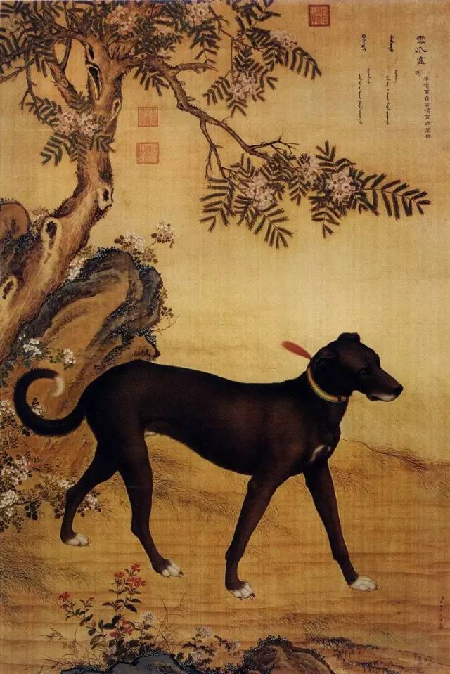 郎世宁《十骏犬之雪爪卢图》