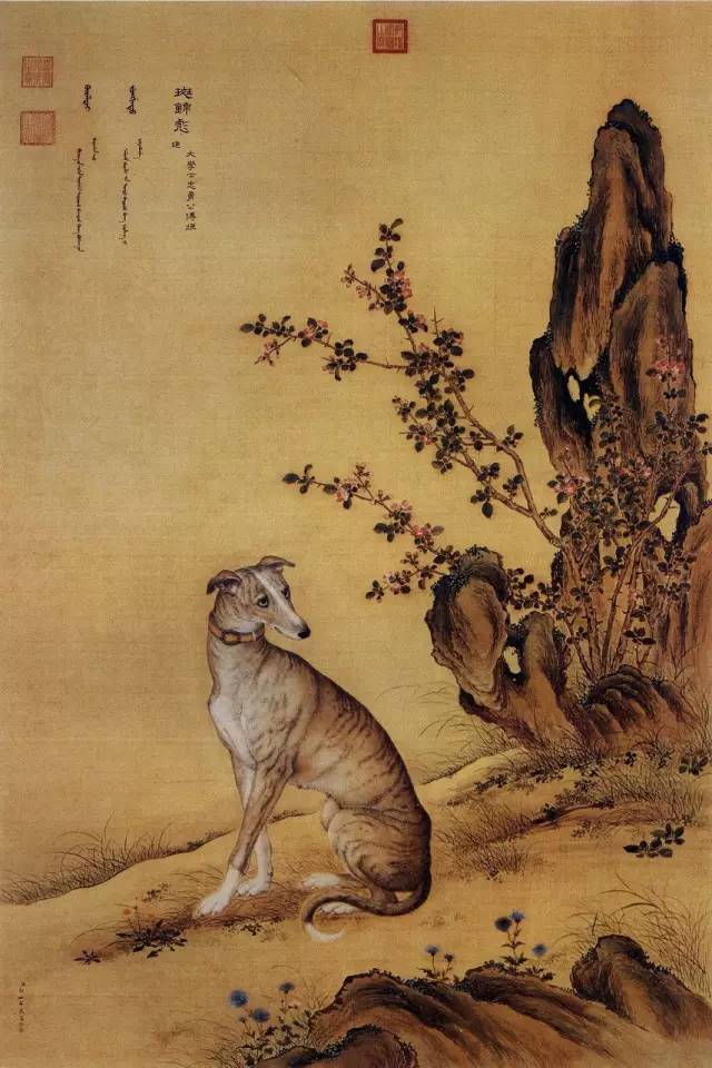 郎世宁《十骏犬之斑锦彪图》