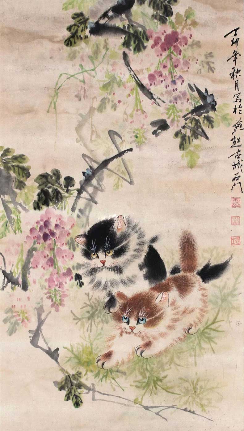 孙菊生 猫