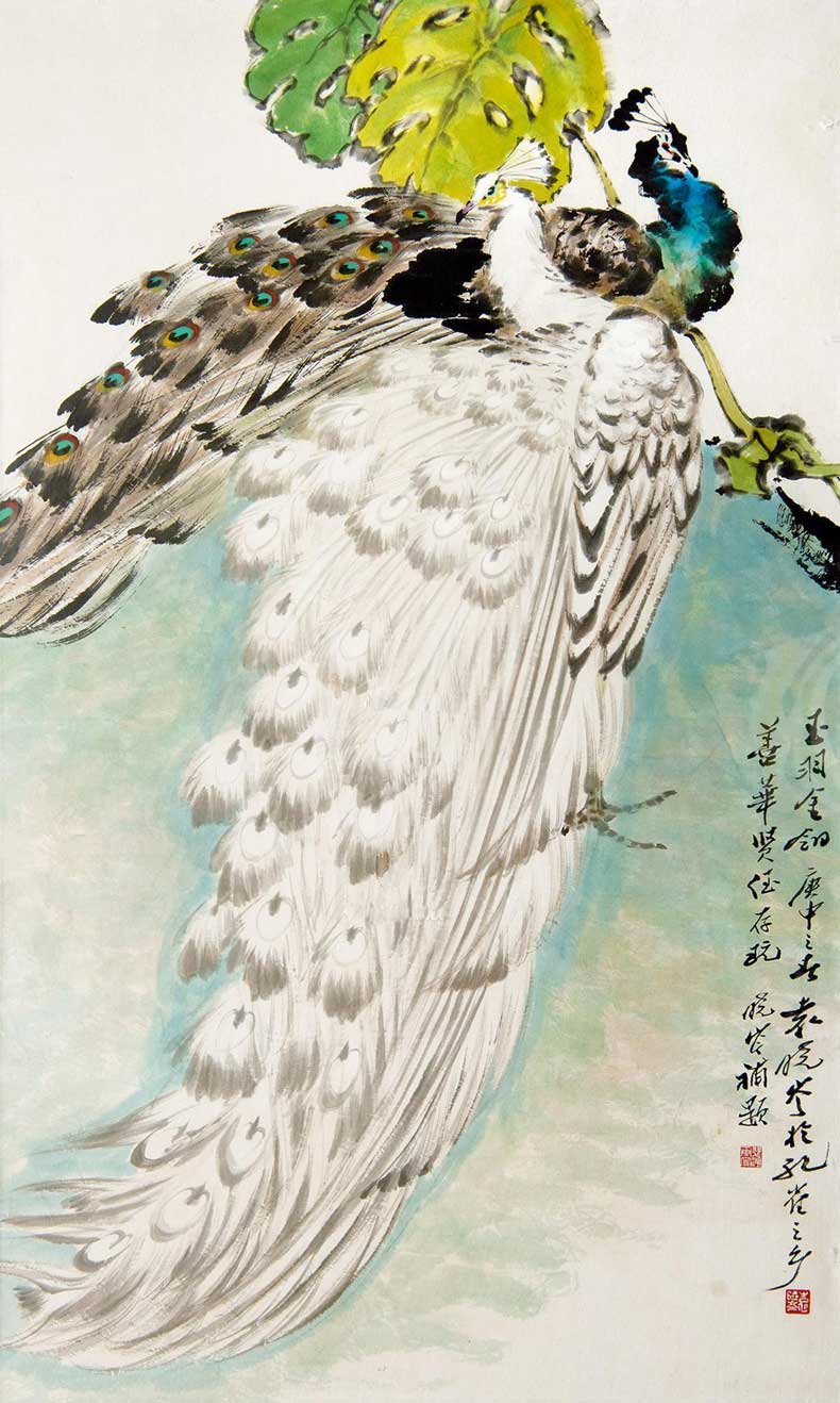 袁晓岑孔雀作品欣赏