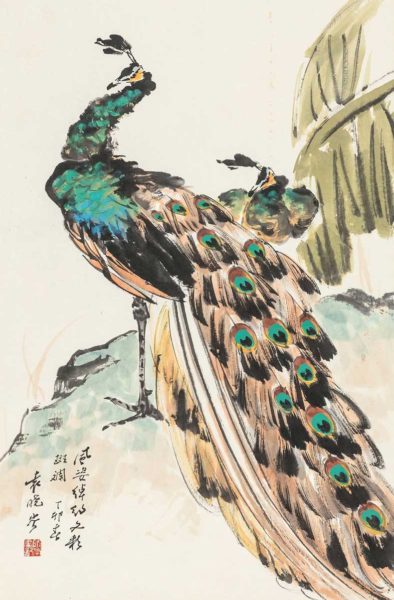 袁晓岑孔雀作品欣赏